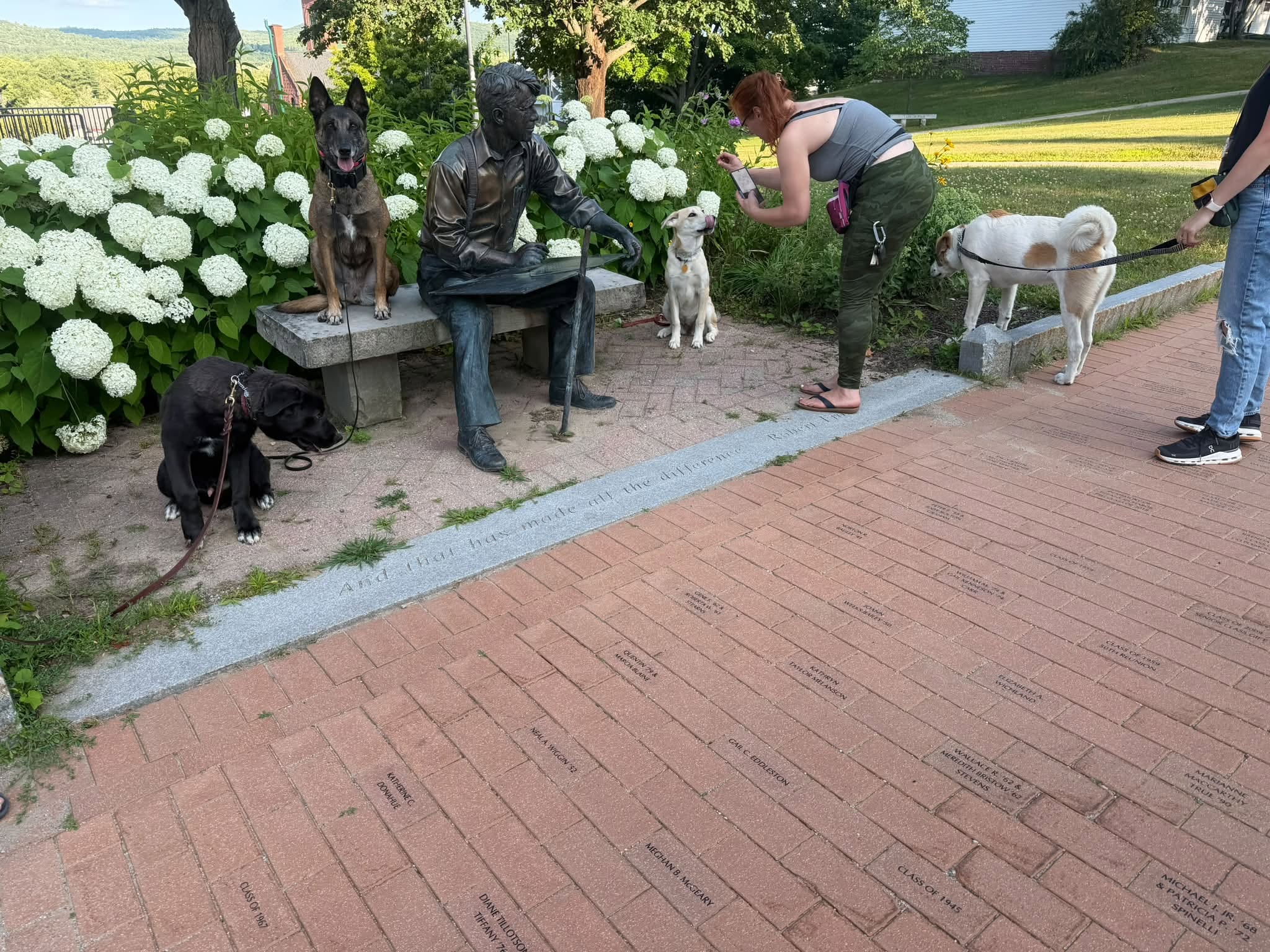 Four leashed dogs posing calmly beside the Robert Frost statue in downtown Plymouth